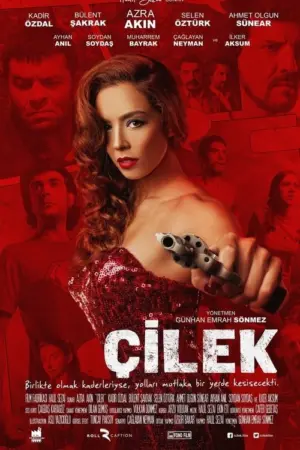 فيلم تشيليك