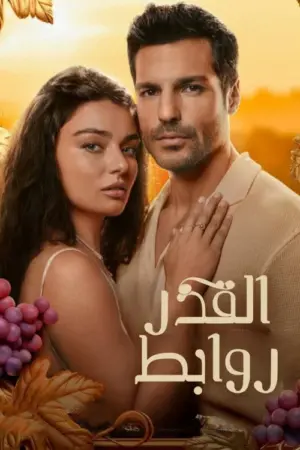 مسلسل روابط القدر