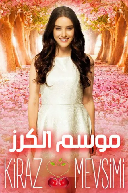 مسلسل موسم الكرز الحلقة 13