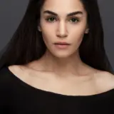صحراء شاش
